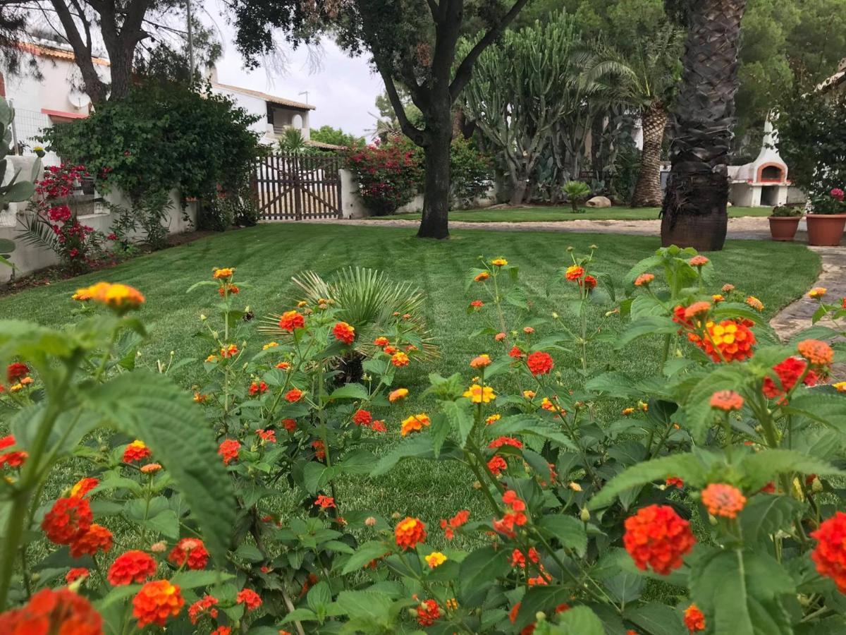 Villa Acquamarina Stella Di Mare 卡丕塔纳 外观 照片